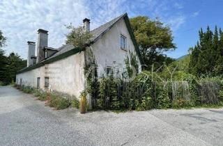 Grundstück zu kaufen in 2754 Waldegg, Grundstück mit Altbestand!