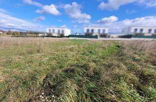 Grundstück zu kaufen in 4502 Sankt Marien, Auf der Sonnenseite - Baugrundstück für ein Doppelhaus