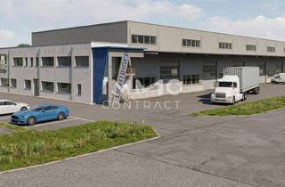 Lager mieten in 4300 Sankt Valentin, Neue Moderne Produktions- und oder Lagerhalle mit Bürotrakt in Bester Lage von St. Valentin