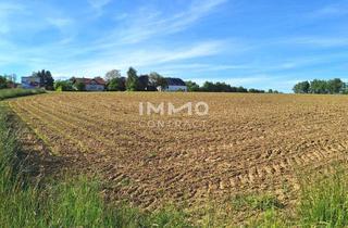 Immobilie kaufen in 3254 Bergland, Betriebsgrund in Bergland mit 6.587 m² - Stadtrand Wieselburg - guter Lage
