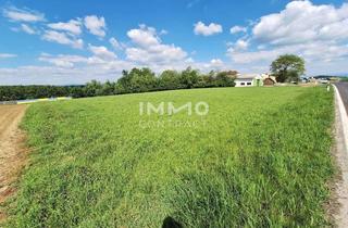 Grundstück zu kaufen in An Der B 1, 3311 Zeillern, Betriebsbaugrund mit 4.872 m² direkt an der B1 auch erweiterbar!