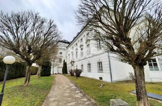 Garagen mieten in 4600 Thalheim bei Wels, KFZ-Überdachter-Abstellplatz Schloss Traunegg T06