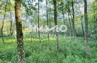 Grundstück zu kaufen in 3321 Ardagger Stift, Erholung pur im eigenen Wald mit Bach und Wiesen nähe Amstetten