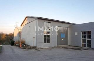 Lager mieten in Nähe Amstetten - Ortsrand Viehdorf, 3322 Viehdorf, Große Lagerhalle Auch Beheizbar und Nebentrakt mit 740 m² Nutzfläche (Einfahrtstor 350X470) Industrieboden.