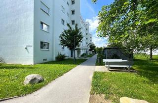 Wohnung mieten in Zibermayrstraße 69, 4020 Linz, Erleben Sie ein einzigartiges Wohngefühl! Helle, freundliche 1-Raum-Wohnung in grüner Stadtrandlage! Top Infrastruktur!