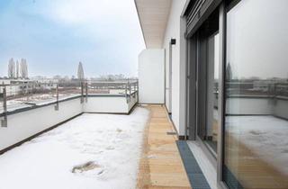 Wohnung mieten in Ackergasse 14, 2700 Wiener Neustadt, Erstbezug: Neubau 2-Zimmer mit neuer Küche + 19,5 m² Terrasse | Lift | Wiener Neustadt