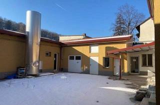 Gewerbeimmobilie kaufen in 2640 Gloggnitz, ehemalige Käserei im Gloggnitzer Stadtzentrum