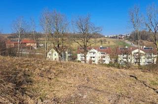 Grundstück zu kaufen in 4407 Dietach, BAUGRUND OHNE BAUZWANG IN UNVERBAUBARER LAGE