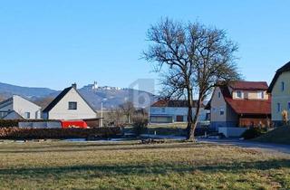 Grundstück zu kaufen in 3374 Säusenstein, GROßZÜGIG ? IDEAL FÜR HAUS ODER GARTENPARADIES