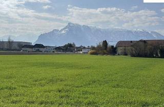 Grundstück zu kaufen in 5020 Salzburg, Sonniges Baugrundstück in Salzburg-Maxglan mit eigener Zufahrt