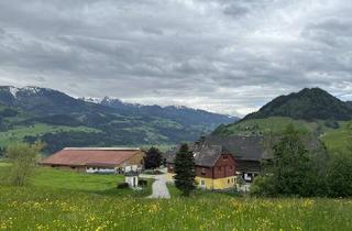 Agrarfläche kaufen in 8962 Gröbming, 20 ha vielseitiger landw. Betrieb - mit großen Wirtschaftsgebäuden