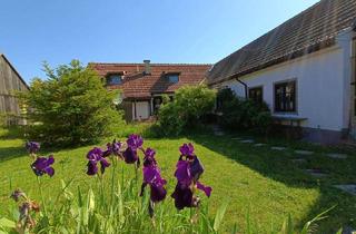 Bauernhäuser zu kaufen in 2143 Ginzersdorf, Charmantes Bauernhaus in ländlicher Idylle