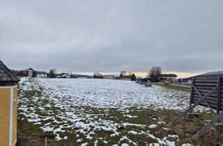 Grundstück zu kaufen in 5163 Mundenham, 5000 m² Gewerbegrundstück für Klein und Mittelbetriebe mit Betriebswohnungen