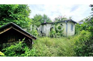 Grundstück zu kaufen in 2603 Felixdorf, Platz für Wohnträume – großes, erschlossenes Grundstück mit Altbestand - für Familie oder Projektbau