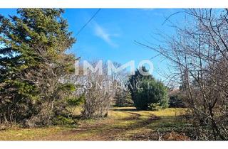 Grundstück zu kaufen in 2425 Nickelsdorf, Bauträger oder Privatperson: Traumhaftes Grundstück mit Altbaumbestand in ruhiger Lage - teilbar