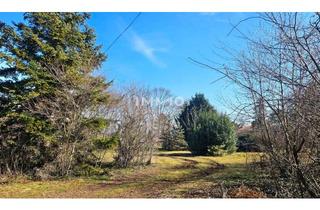 Grundstück zu kaufen in 2425 Nickelsdorf, Bauträger oder Privatperson: Traumhaftes Grundstück mit Altbaumbestand in ruhiger Lage - teilbar