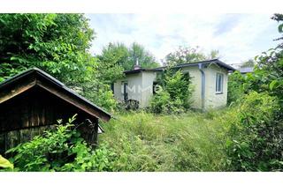 Grundstück zu kaufen in 2603 Felixdorf, Platz für Wohnträume – großes, erschlossenes Grundstück mit Altbestand - für Familie oder Projektbau