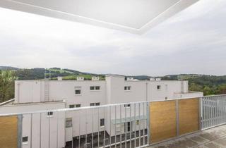 Wohnung mieten in Wienerwaldstraße, 3033 Altlengbach, ERSTBEZUG: Charmante Wohnung mit Aussicht