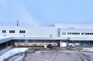 Lager mieten in 2351 Wiener Neudorf, Flexible Lagerfläche mit Top-Verkehrsanbindung in Wiener Neudorf
