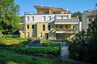 Wohnung kaufen in Uni Ist Austria, 3400 Kierling, Bereit zum Einziehen!