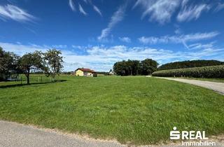 Grundstück zu kaufen in 5133 Gilgenberg am Weilhart, Grundstück in Gilgenberg, Ortsteil Ruderstallgassen