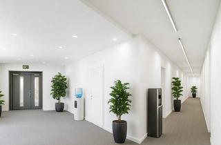 Büro zu mieten in Schwedenplatz, 1010 Wien, Erstbezug! Renoviertes 4-Zimmer Büro in Toplage