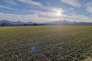 Grundstück zu kaufen in Seebach, 9125 Kühnsdorf, Attraktives Bauerwartungsland zur Entwicklung in Kühnsdorf - idealer Standort für Gewerbe & Investitionen