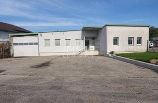 Lager mieten in 3385 Prinzersdorf, TOP-Standort!ca. 340m² Büro & Lagerflächen