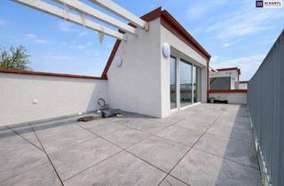 Wohnung kaufen in Doktor Karl Renner-Platz, 2514 Traiskirchen, Wohnen über den Dächern: Exklusive 3-Zimmer-Dachgeschosswohnung mit großer Dachterrasse im Erstbezug!