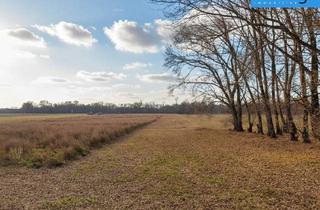 Gewerbeimmobilie kaufen in 1220 Wien, 20.344 m² Land- und Forstwirtschaft (Sww)