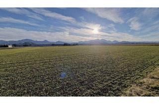 Grundstück zu kaufen in 9141 Eberndorf, Attraktives Bauerwartungsland zur Entwicklung in Kühnsdorf – idealer Standort für Gewerbe & Investitionen