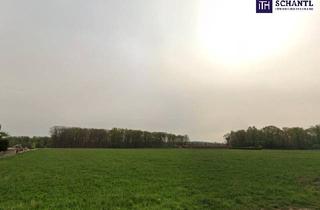 Grundstück zu kaufen in Elfenweg, 8430 Leibnitz, Riesen Potenzial - ca. 1h großes GEWERBEGRUNDSTÜCK 0,3 - 2,0 Dichte mit direkter Nähe zur Autobahn und zur Eisenbahn! Alternativen in der Umgebung auch verfügbar!