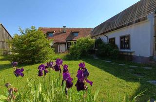 Bauernhäuser zu kaufen in 2143 Großkrut, Charmantes Bauernhaus in ländlicher Idylle