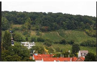 Haus mieten in 1190 Wien, TOP PREIS! Luxus Bungalow in 1190 Wien