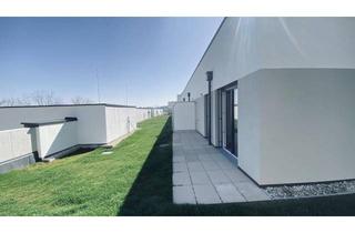 Wohnung mieten in Bründlgraben 47A, 3500 Krems an der Donau, Moderne 2-Zimmer Gartenwohnung in Krems - Ruheoase