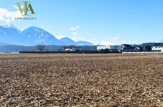 Grundstück zu kaufen in Klopeiner See, 9141 Eberndorf, Sonnige Baugrundstücke (Einzelverkauf möglich, insgesamt 38 Grundstücke, bis zu 7 Parzellen) im Bezirk Völkermarkt, Südkärnten