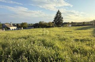 Grundstück zu kaufen in 7323 Ritzing, PANORAMABLICK IN TOP RUHELAGE MT SÜD-WEST AUSRICHTUNG