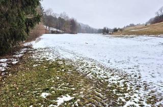 Gewerbeimmobilie kaufen in 3233 Rametzberg, WIESEN Teil 6