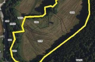 Gewerbeimmobilie kaufen in 3233 Rametzberg, WIESEN Teil 4