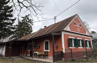 Einfamilienhaus kaufen in 7473 Hannersdorf, Schönes altes Bauernhaus und ein Haus aus den 70 Jahren mit Grundstück