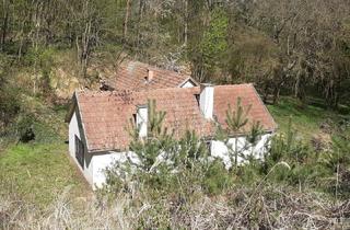 Haus kaufen in 3571 Gars am Kamp, IDYLLISCHE ALLEINLAGE IM NATURSCHUTZGEBIET