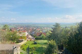 Haus kaufen in 7051 Großhöflein, Großhöflein: Charmanter, unverbaubarer Fernblick Haus auf 1016 m² Liegenschaft mit Potential