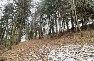 Gewerbeimmobilie kaufen in 3233 Kilb, Waldgrundstück Teil 7