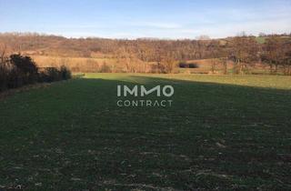 Grundstück zu kaufen in 2123 Unterolberndorf, Verwirklichen Sie Ihr Traumhaus im schönen Kreuttal