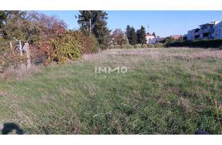 Grundstück zu kaufen in 2273 Hohenau an der March, großer Baugrund in Hohenau - im Zentrum und doch ruhig in einer Einbahnstraße