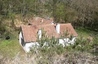 Haus kaufen in 3571 Gars am Kamp, IDYLLISCHE ALLEINLAGE IM NATURSCHUTZGEBIET