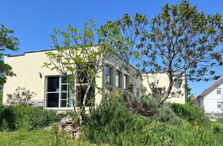 Einfamilienhaus kaufen in 7072 Mörbisch am See, Weinort Mörbisch - teilweise Blick auf den Neusiedler See