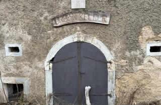 Gewerbeimmobilie kaufen in 7092 Winden am See, In Vino Veritas! Historischer Weinkeller im Eigentum in Winden am See