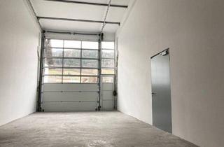 Gewerbeimmobilie mieten in Salzburger Straße 24, 6060 Hall in Tirol, Großzügige Lagerhalle mit Sektionaltor