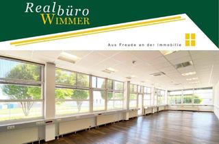 Büro zu mieten in Freilinger Straße, 4614 Marchtrenk, Bürogebäude in Top Lage - gesamt oder auch in Teilflächen ab 120 m² mietbar